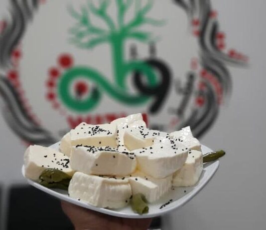 A training course for the cheese and yogurt industry